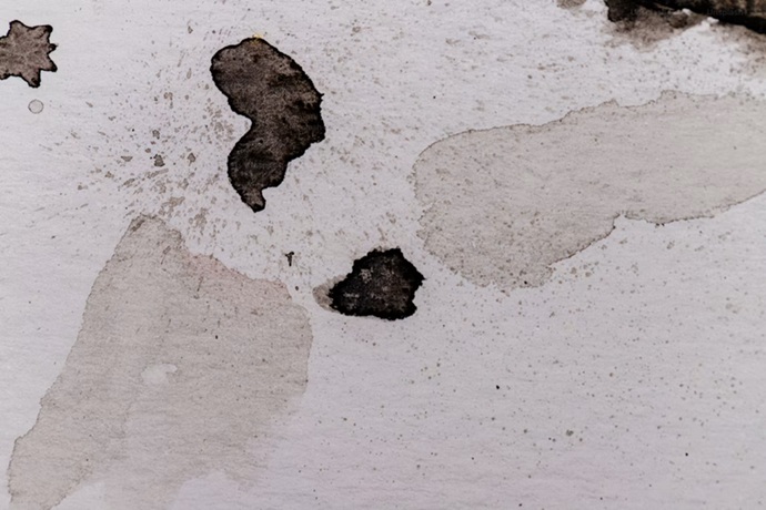Macrofotografía de colonias de moho y microorganismos en los  techos de la casa por humedad de condensación en una superficie de escayola degradada.